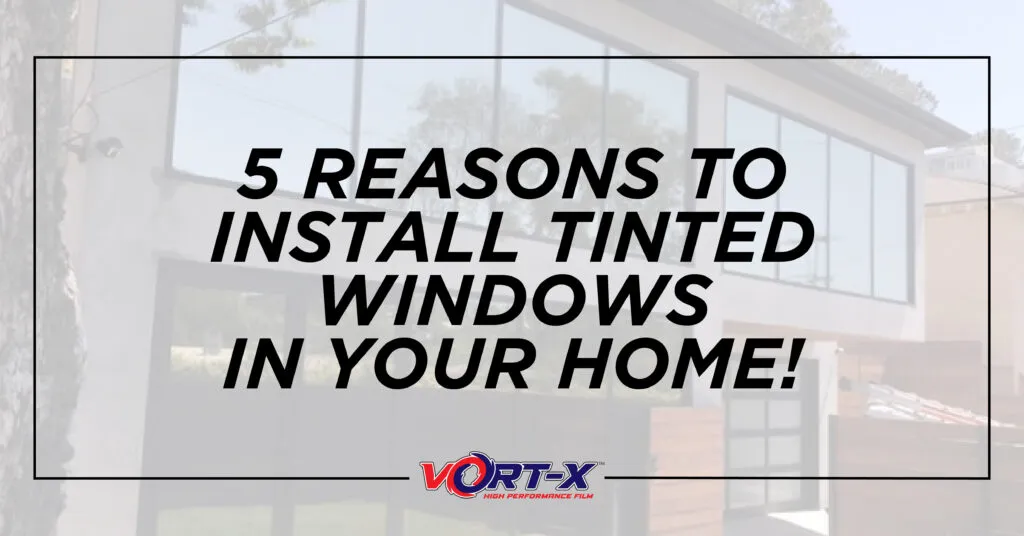 5 reasons to install tinted windows in your home scaled.jpg